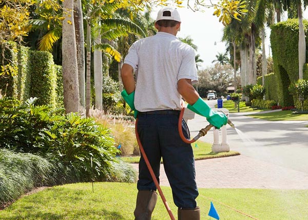 About Selma VA Pest Control
